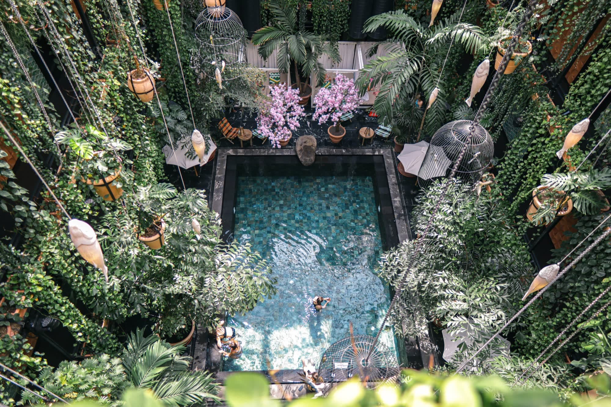 The jungle pool at Manon Les Suites Guldsmeden, Copenhagen